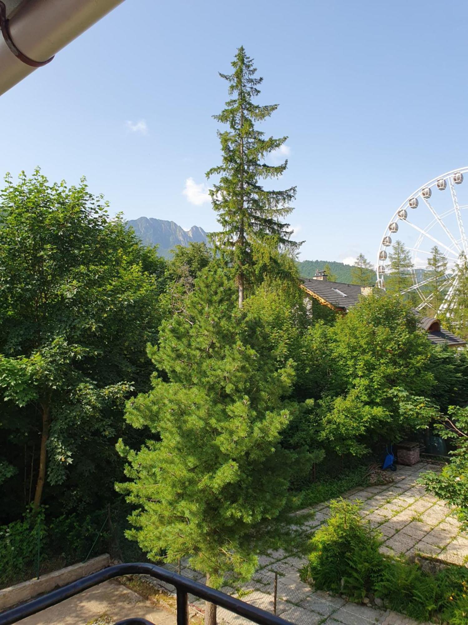Asteria Zakopane Quarto foto